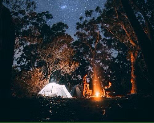 picture of a campground